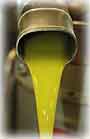 Oil produced only from the Taggiasca variety olives